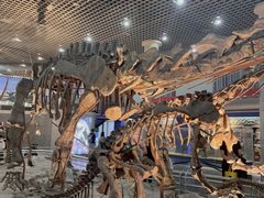 -国家自然博物馆