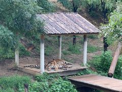 -石家庄市动物园