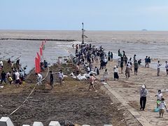 -南汇嘴观海公园