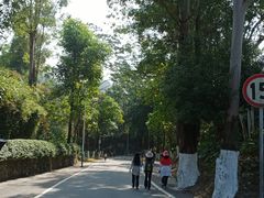 -火炉山森林公园
