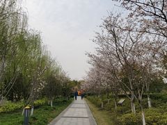 -澹台湖公园
