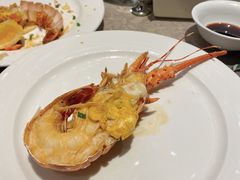 -星璨·自助餐厅-厦门禹洲温德姆至尊豪廷大酒店