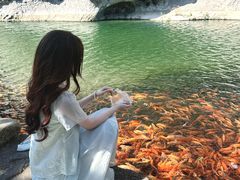 -楠溪江风景名胜区