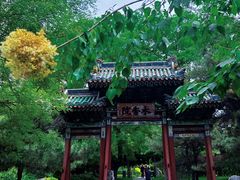 -迎泽公园