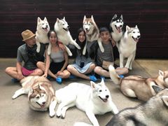 -TrueLove @ Neverland (Husky Cafe)