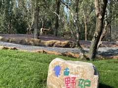 -北京野生动物园