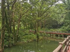 -木兰云雾山