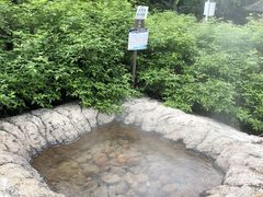 -天芳悦潭度假村温泉