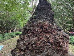 -海口火山口国家地质公园