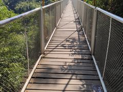 -川西竹海景区