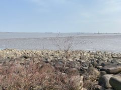 -上海吴淞炮台湾国家湿地公园
