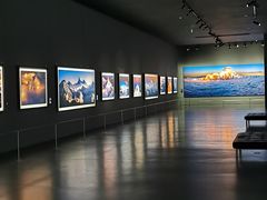 -罗红摄影艺术馆