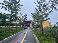 -莲花岛景区