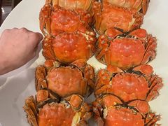 -阳澄湖半岛旅游度假区