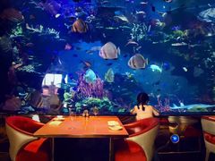 -迪拜帆船酒店海底餐厅