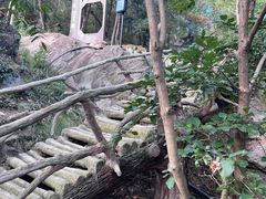 -南京市无想山景区