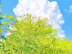 -青岛第一海水浴场
