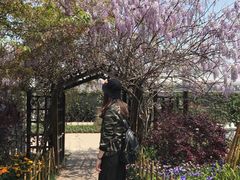 -上海植物园-4号门售票处
