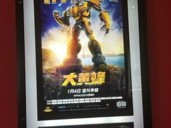 -万达影城(锦华万达广场IMAX店)