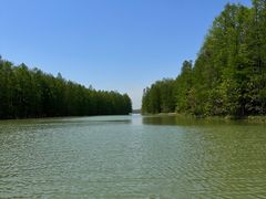 -上海海湾国家森林公园