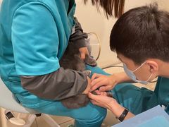 -美迦爱-牙专科·兔科·骨科诊疗中心(北苑店)