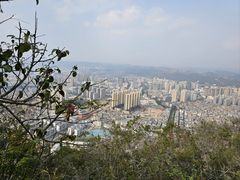 -西华公园