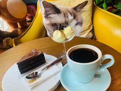 -咖法森林·咖啡  酒吧(天河店)