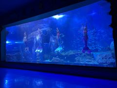 -多彩贵州城极地海洋世界