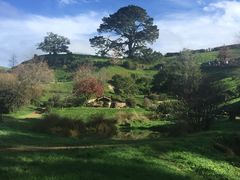 -怀托摩萤火虫洞