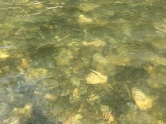 -雅鲁激流探险漂流