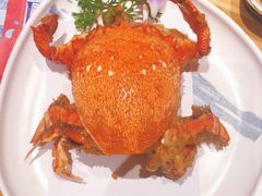 老虎蟹-割烹旭日本料理(龙湖狮山天街店)