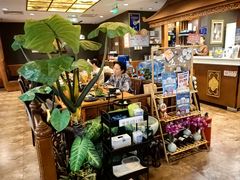 -荷花泰菜(东方新天地店)
