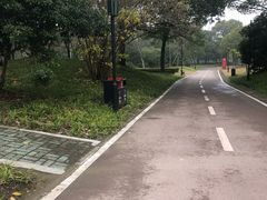 -哥老官重庆美蛙鱼头(宝山龙湖店)