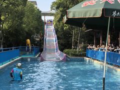 -苏州乐园森林水世界