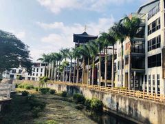 -梧桐山风景名胜区