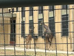 -荆州中山公园动物园