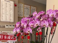 -土豆口腔(凤凰北总店)