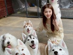 -TrueLove @ Neverland (Husky Cafe)