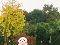 门面-成都大熊猫繁育研究基地