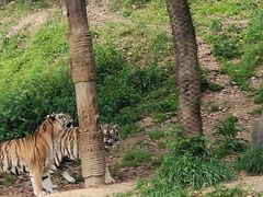 -杭州野生动物世界