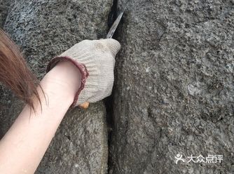 宝藏海滩～ 如果不想去人潮拥挤的白城沙滩和商业气息繁