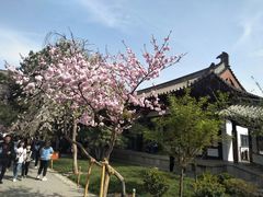 -西安青龙寺遗址景区