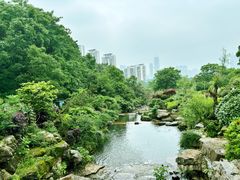 -桃花岭景区