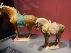 -陕西历史博物馆
