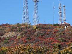 -北京西山国家森林公园