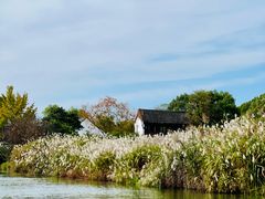 -西溪国家湿地公园