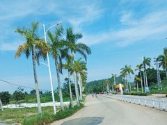 -东海岛旅游度假区