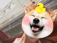 -皇家御河游(紫御湾码头)
