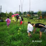 蘑菇变形记