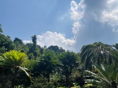 -深圳仙湖植物园